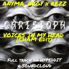 Anyma X Argy X Rezz X Son Of Son - Voices In My Head X Edge [Cham Edit][DL in description]