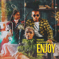 Enjoy (Remix)