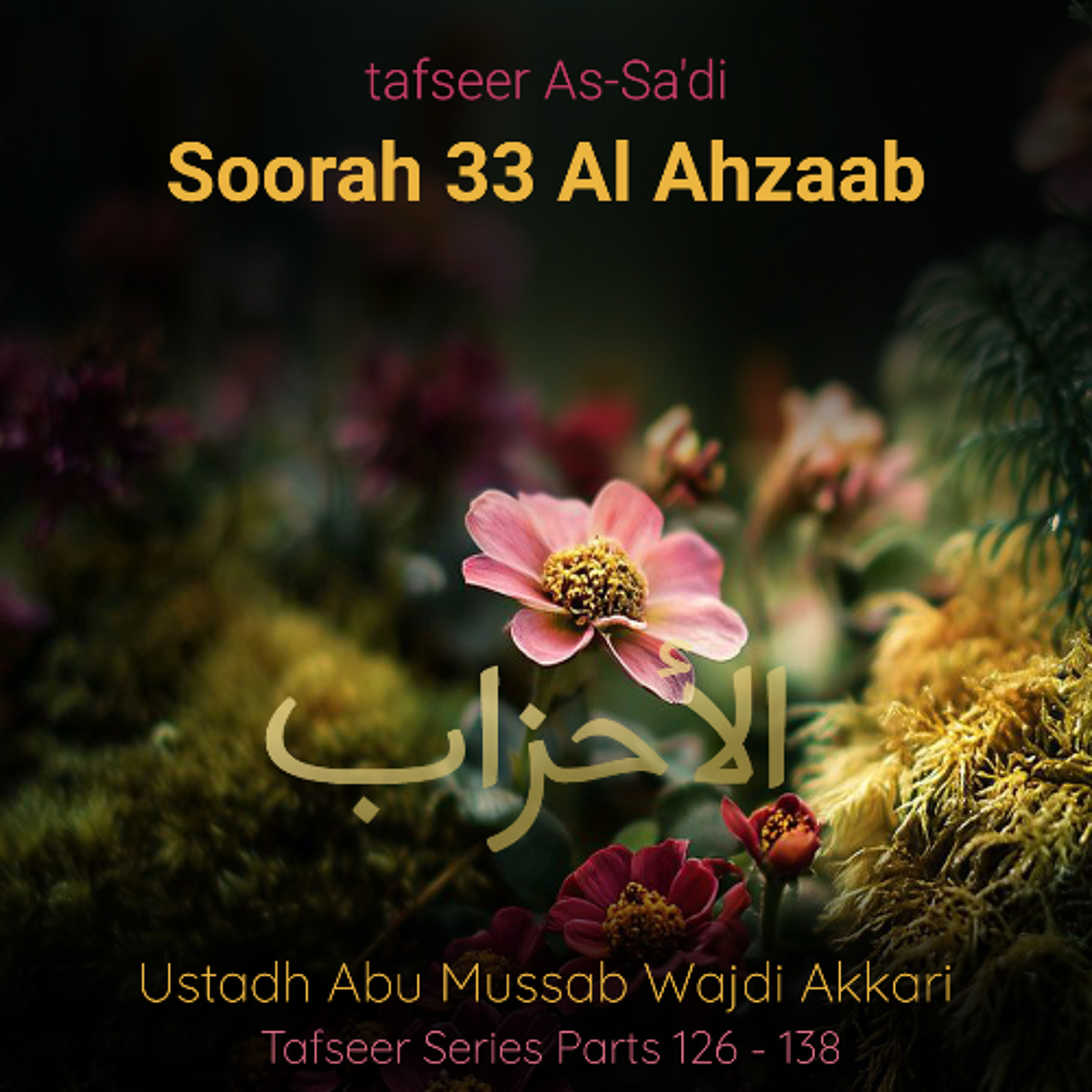 tfsrOWTP#126 - Tafseer As-Sa'di - Soorah Al-Ahzaab 033 - Aayat 1-6 - Ustadh Abu Mussab Wajdi Akkari episode artwork