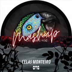 BLR, Robbie Rise Vs Rebuke - Lipstick Vs Along Came Polly (Celas Monteiro Mashup)