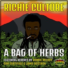 Richie Culture│Bag Of Herb│Jamie Bostron Remix