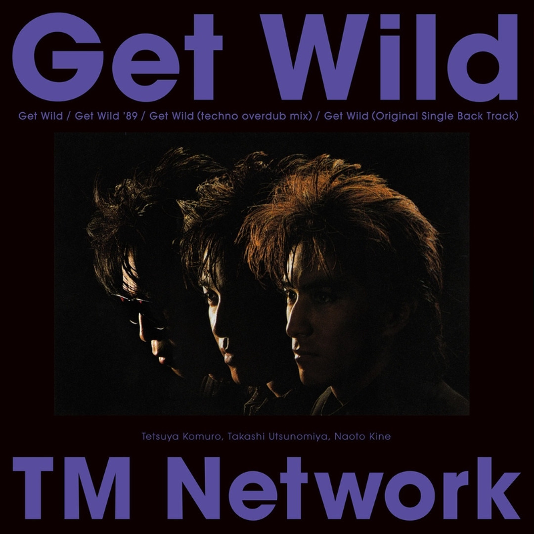 邦楽 TM Network / Get Wild 2017 TK REMIX TM NETWORK - GET WILD 2017 TK REMIX - YouTube