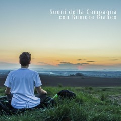 Sinfonia dell'Oceano con Rumore Bianco (Sequenza Loopable)