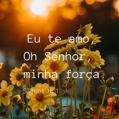 Hino_513_-Antes_era_a_bencao 🌹 Antes_Bendiciones-Himno 235🌹 Once it was the blessing-Hymn 513 🌹