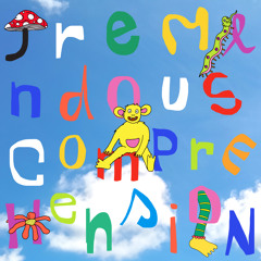 TREMENDOUS COMPREHENSION!