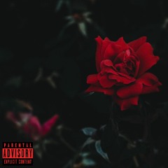 Roobyrich - Roo Ham [Prod. By Plugrecord]