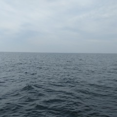 Lawyers guns and money..m4a