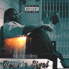 Beanie sigel