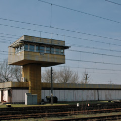 LIZARD - KARSZNICE