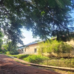 23.11.2025 - Cap. XXIV - Não Coloqueis a Candeia Sob o Alqueire  - Coragem da Fé (7)