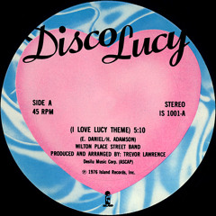 Wilton Place Street Band - Disco Lucy (Philthy Fun Kick'n Bass Mix) [128BPM]