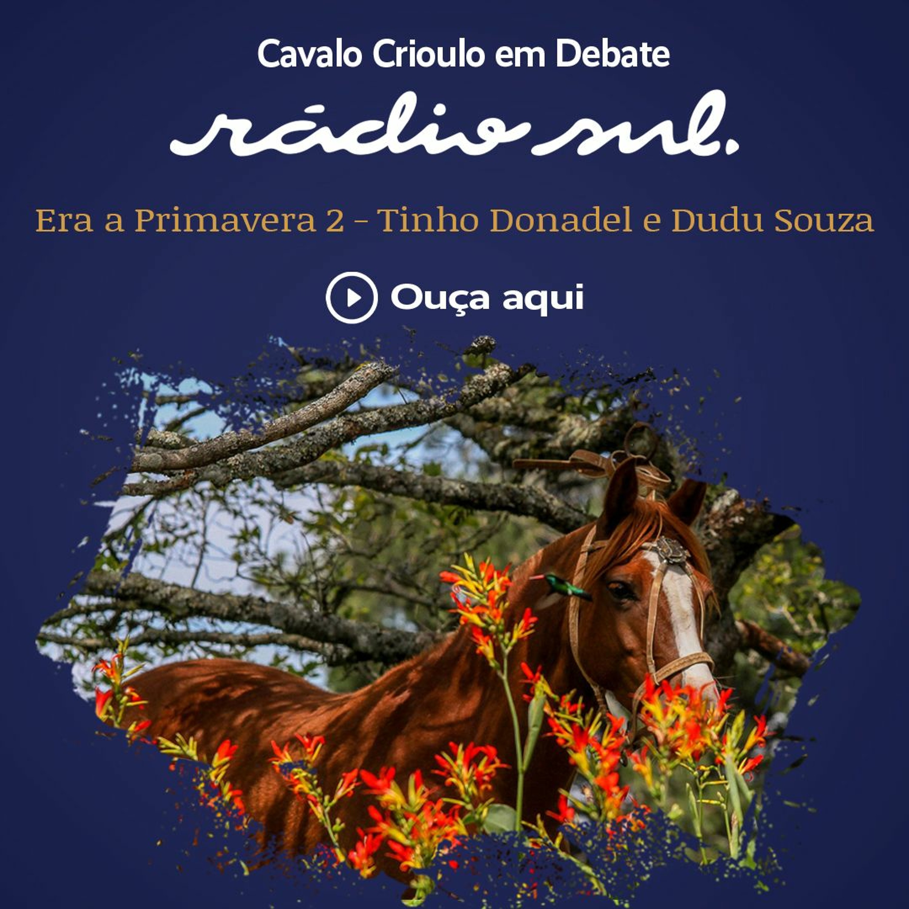 Cavalo Crioulo em Debate - Era A Primavera 2 - Dudu Souza e Tinho Donadel episode artwork