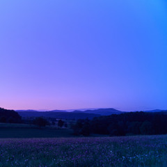 Binaural Dummy Head 1 Hour 47 minutes Tuscany Field Recording Night Session 7/6/2025