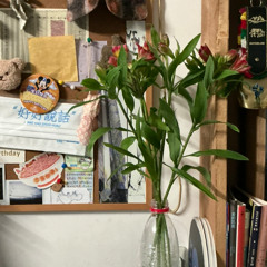 piano improvising 10.1.2025