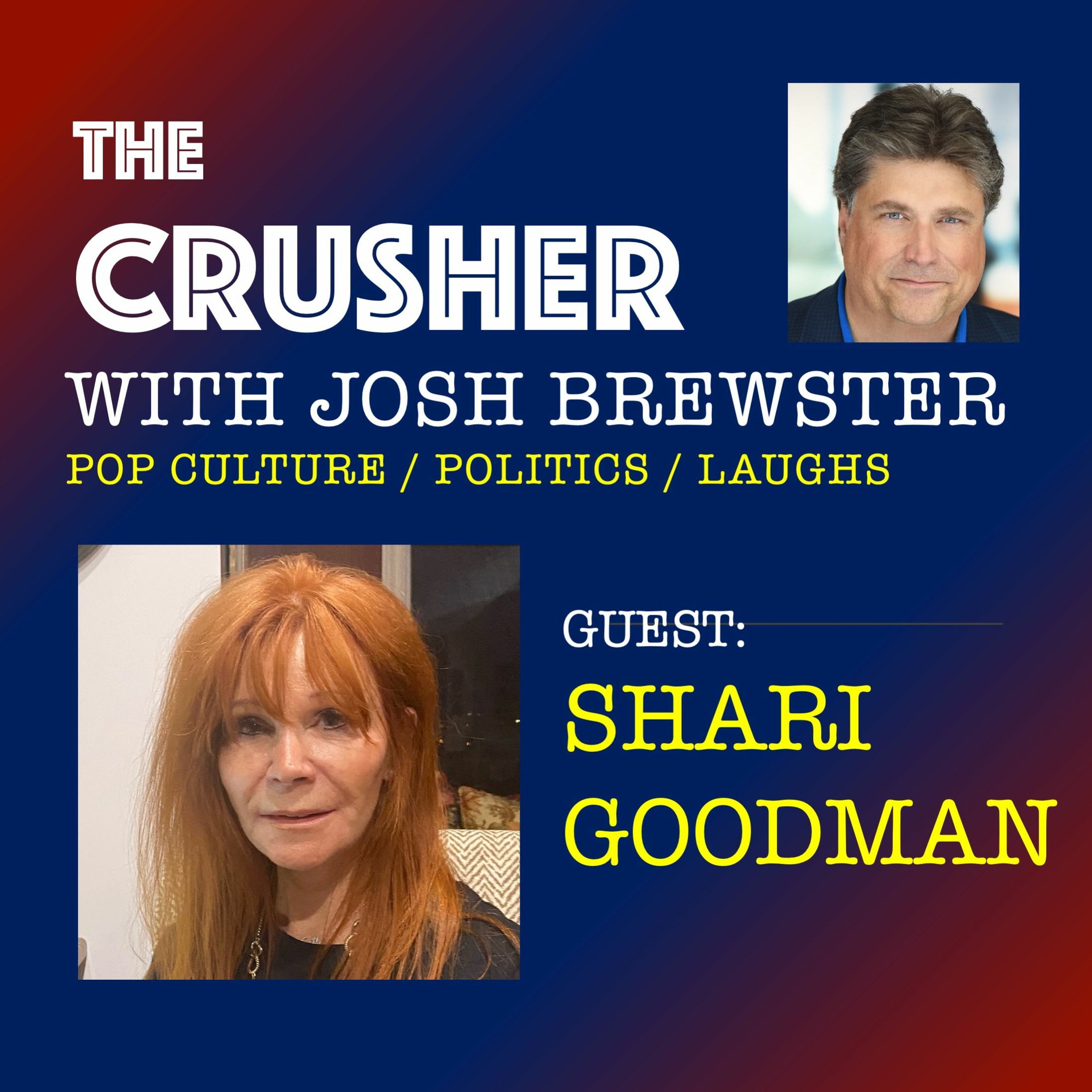 Episode 15 Guest Shari Goodman - Independent Voters and Destruction by Design episode artwork