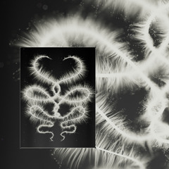 [Premiere] Altjira - Overnal (out on Optic Portal)