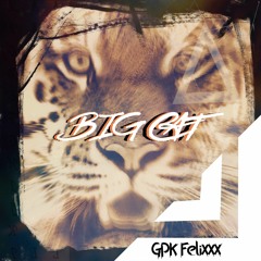 Big Cat