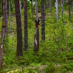 skogsängel_20230530