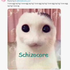 Schizocore