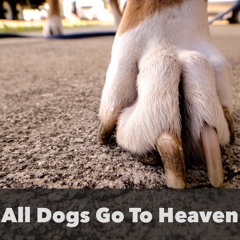 All Dogs Go To Heaven(Prod. Remghost & Skele)
