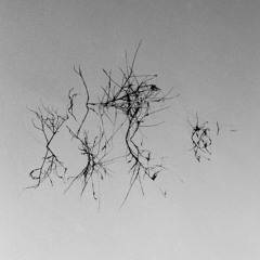 Erosion