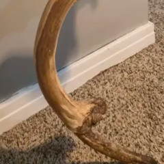 Swoon || Broken Charm || V5