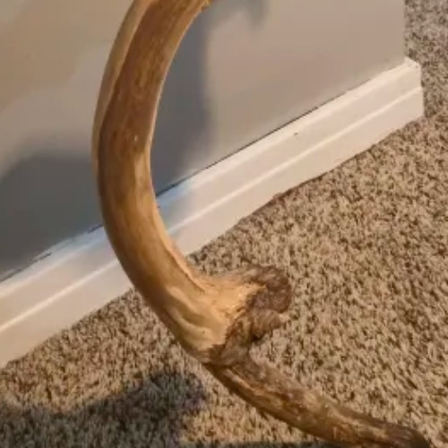 Swoon || Broken Charm || V5