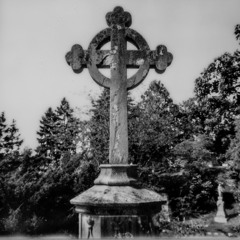 CHECK MY PULSE (Prod. CannonTooCold)