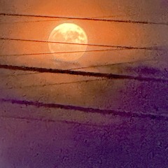 FOOL MOON FREESTYLE