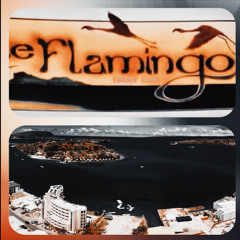 Le Flamingo Discothèque - Club Session 1993 (Port-Vila)