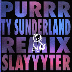 Slayyyter - Purrr (Ty Sunderland Remix)