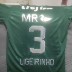 SEQUÊNCIA DO LIGEIRINHO x MEGA PUTARIA