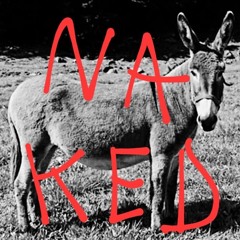 Naked (Eloyy Remix) - Hugo Hamlet