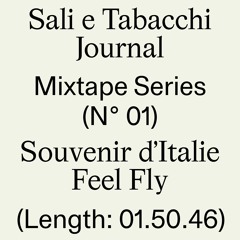 S&T Journal #1: Souvenir d'Italie By Feel Fly