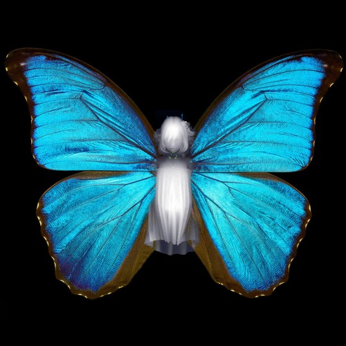 L'enfant papillon [Euphonie Album - 2005_s.c.master.2022]