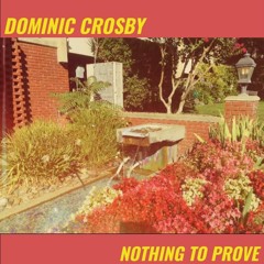 NOTHING TO PROVE