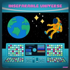 Inseparable Universe