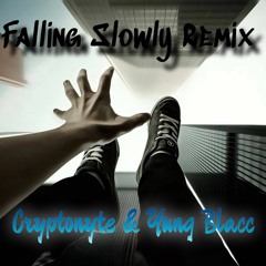 Falling Slowly Remix - Cryptonyte & Yung Blacc