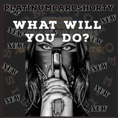 The last one. What will you do? prod. by Platinumcardshorty