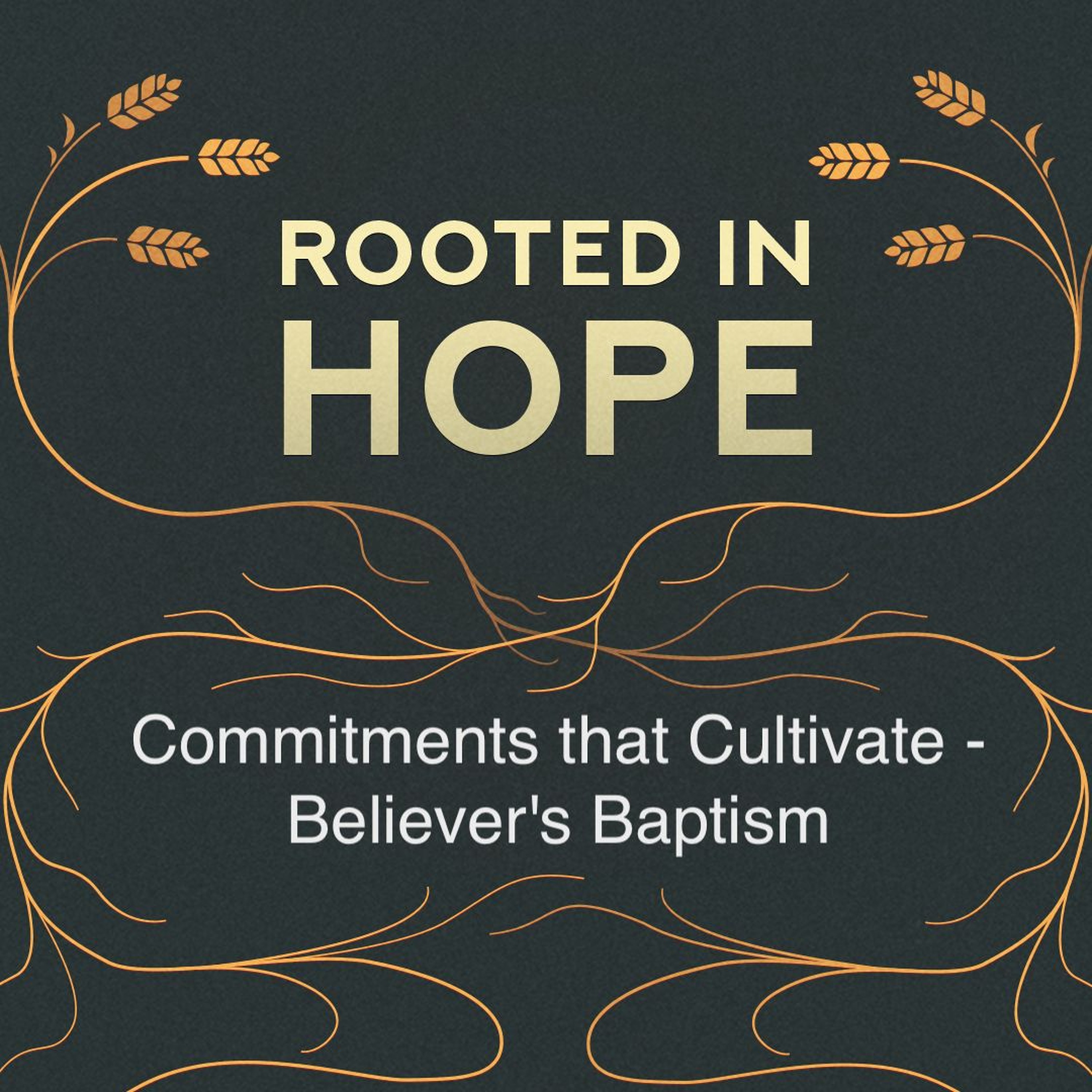 Nov 10/24 | Rooted In Hope | Commitments That Cultivate - Believer's Baptism  | Meldon Lutzer episode artwork