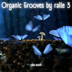 Organic Grooves by ralle 3