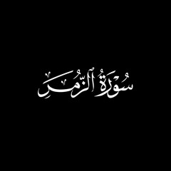 تلاوة من سورة الزمر -صلاة القيام - أحمد السبكي
