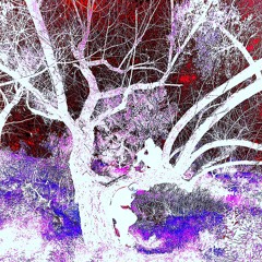 ‘FALL AWAY’ DOUGHIE x TSHREDS (PROD BY FKWT)