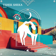 Tshek sheka -B1ko(ORIGINAL MIX)Cafe De Anatolia