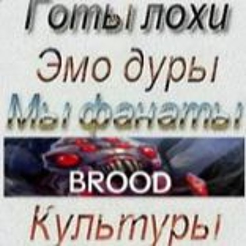 Broodское