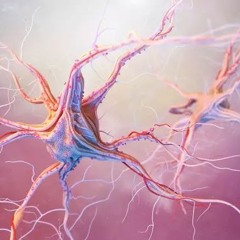 EpilepTrip