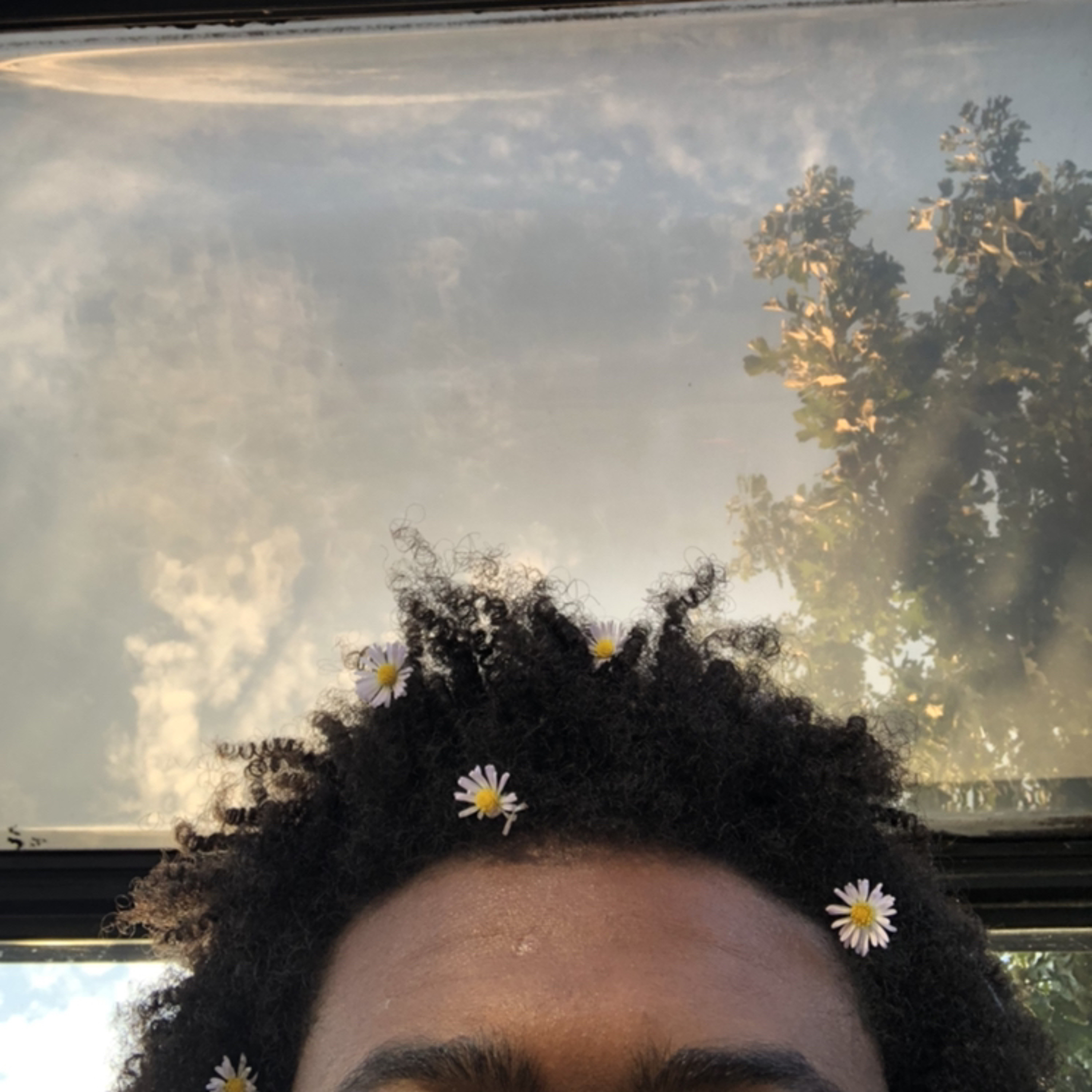 PoHuBe