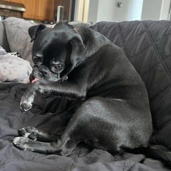 Dominic Fike - Misses Gerthy remix