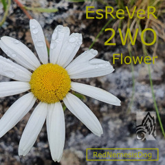 EsReVeR 2WO Flower