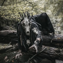 Darkforest🕷️